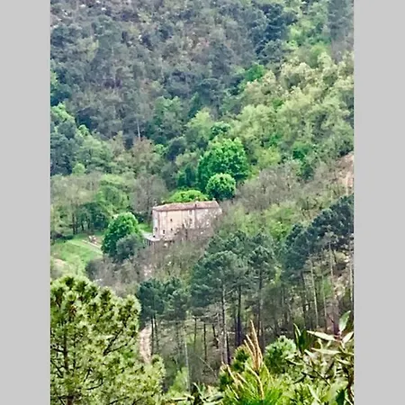 Hébergement de vacances Ecovacances à La Ferme Le Pouget - Le