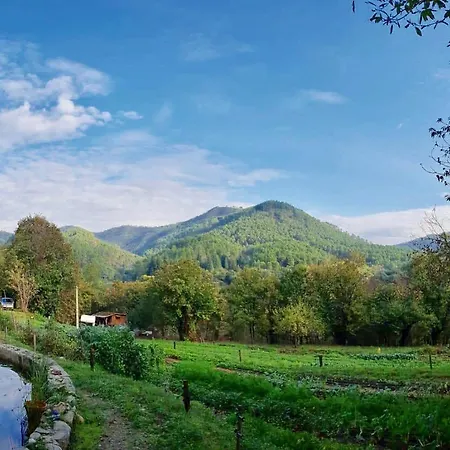 Ecovacances à La Ferme Le Pouget - Le Hébergement de vacances *